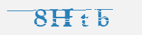 보안문자